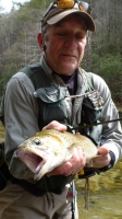 Mike Williams Brown Trout on the Chatooga River